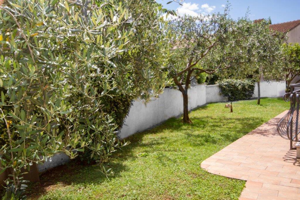 Villa Sveta Eufemija Bed End Breakfast II Rovinj Buitenkant foto